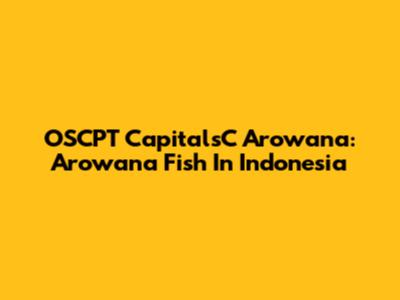 OSCPT CapitalsC Arowana: Arowana Fish In Indonesia