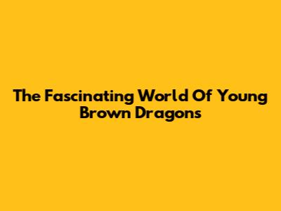 The Fascinating World Of Young Brown Dragons